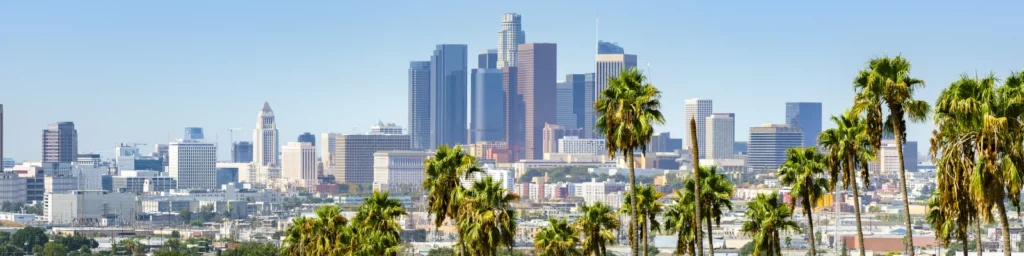 Los Angeles Skyline with palm trees in forefront