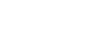 RISK Strategies Logo White